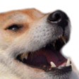Emojis Discord - Doggo Kek