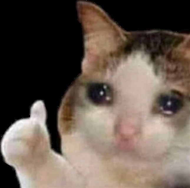 Emojis Discord - Gato Pulgar Arriba