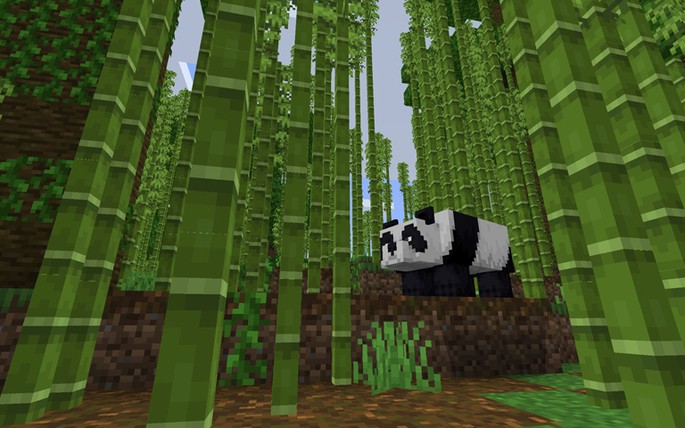 Jungla de bambú y pandas - Semilla de Minecraft PE